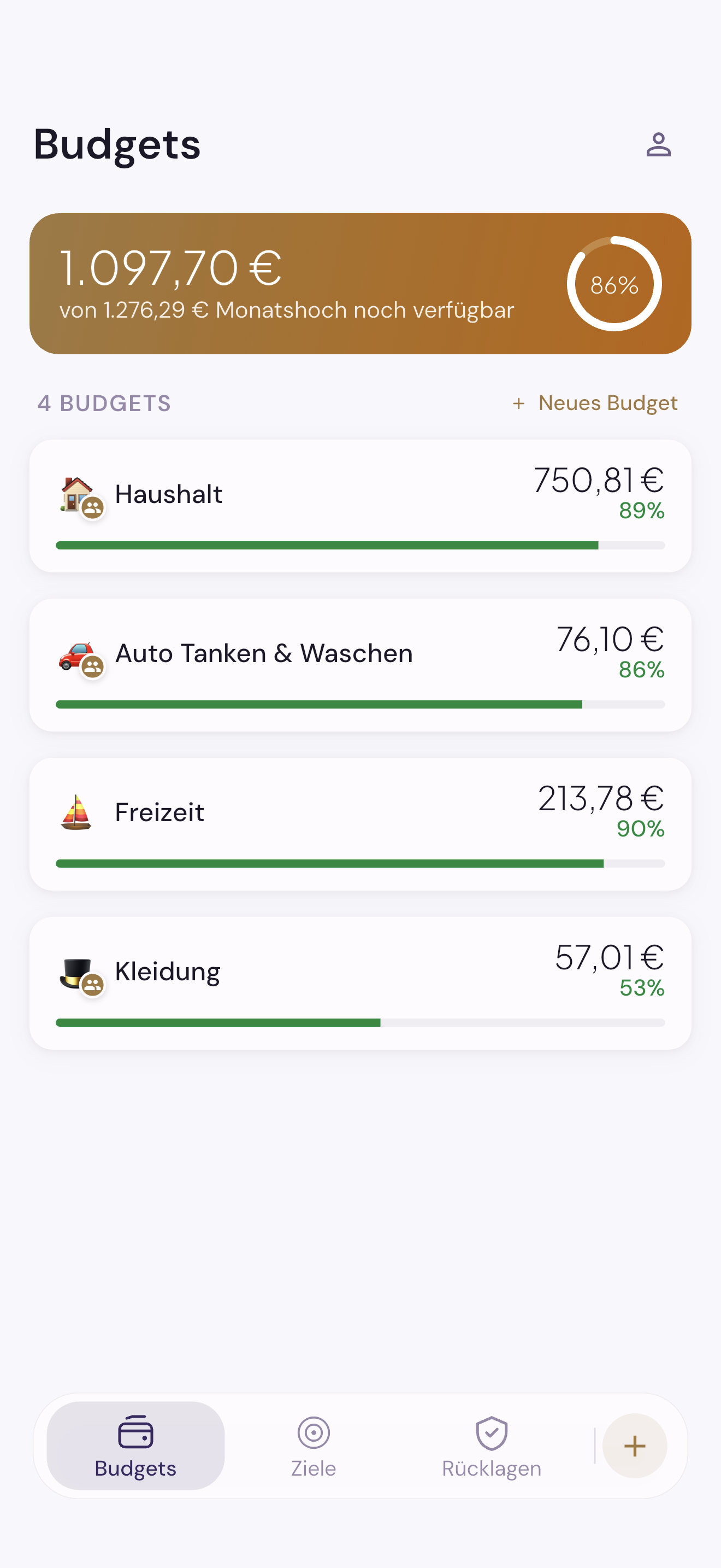 Schmidti Budget Übersicht mit Budgets, Zielen und Rücklagen
